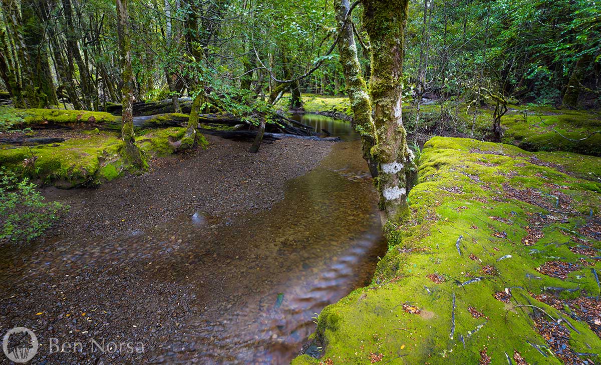 Landscape photographic print of Cephissus Creek, Pine Valley, Tasmania
