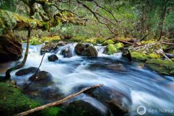 Fine art photographic print of Cephissus Creek Pine Valley Tasmania
