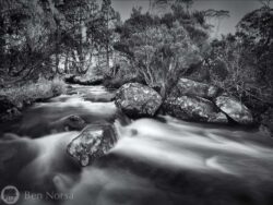 Landscape photographic print of Lake Artemis Creek, Tasmania