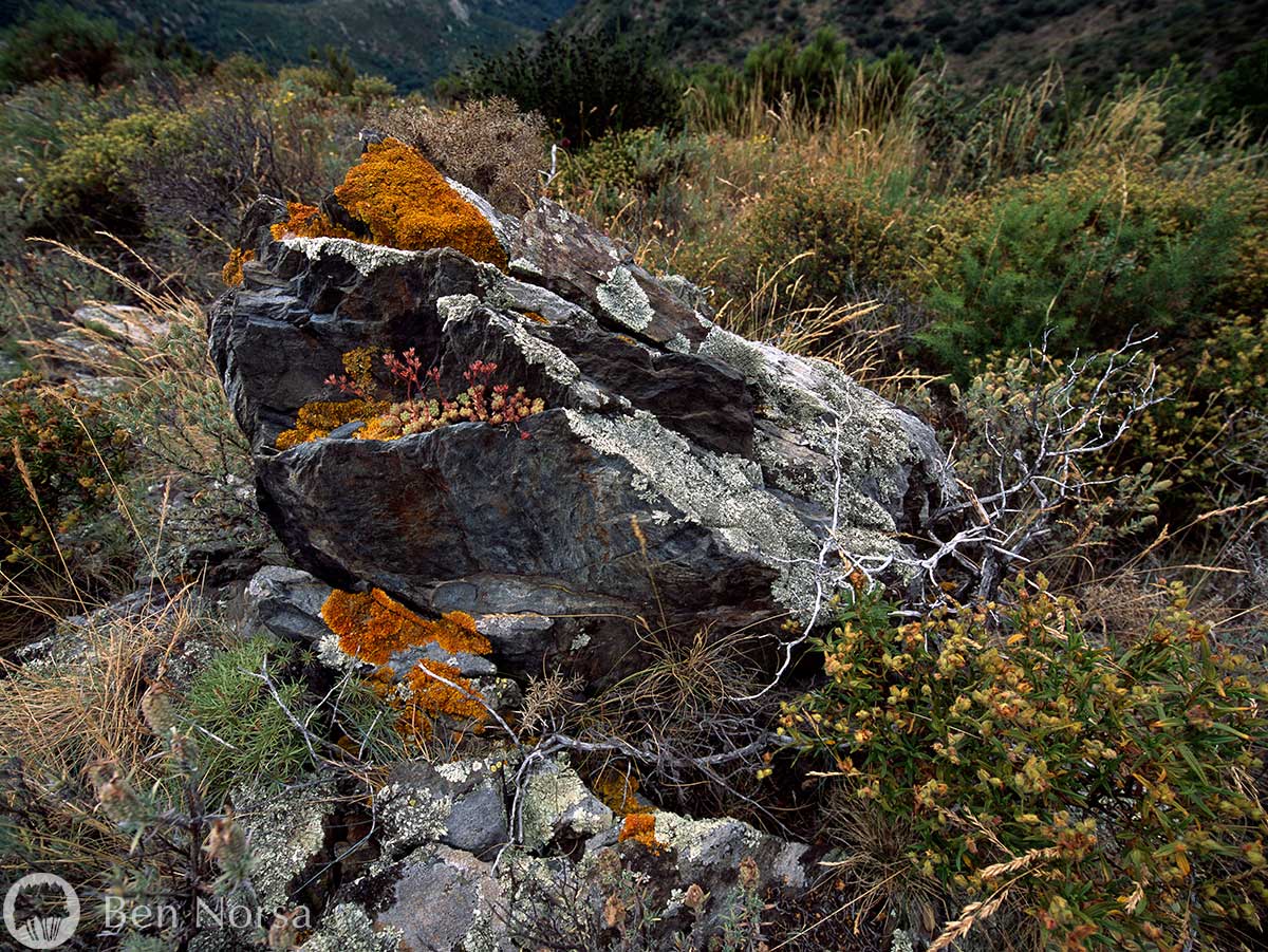 Landscape photographic print of Rock sculpture, landscape - Pyrenees, France