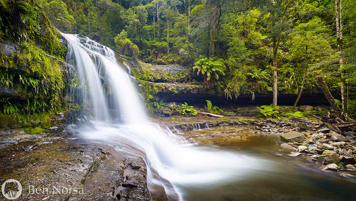 Landscape photographic print of Liffey Falls, Tasmania