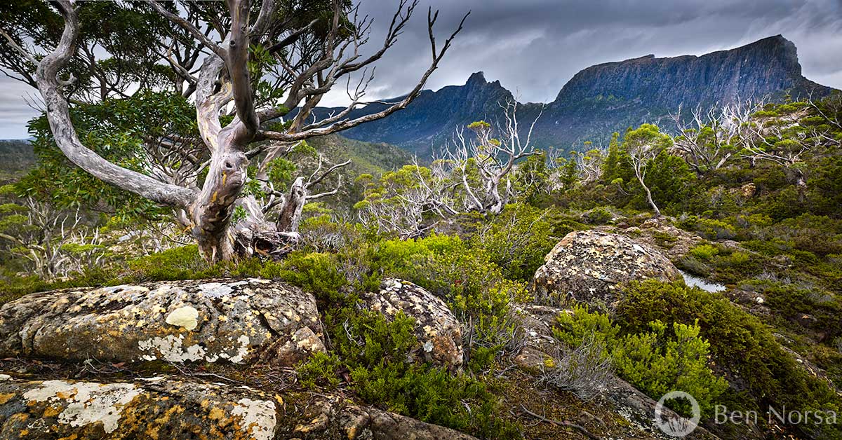 Landscape photographic print of Mt Geryon from the Labyrinth, Tasmania