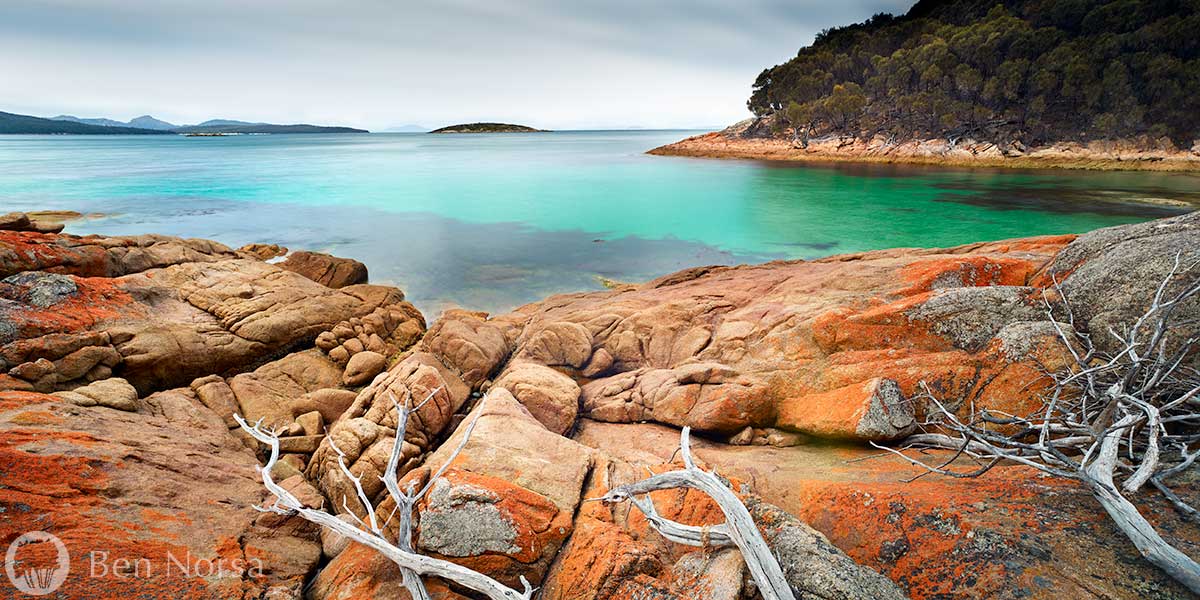 Landscape photographic print of Freycinet driftwood, Tasmania